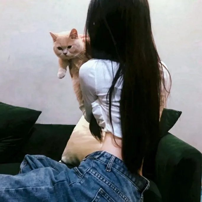 货物200