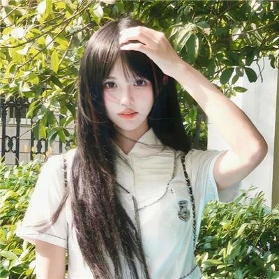 动画番剧